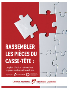 Puzzle_CoverFR